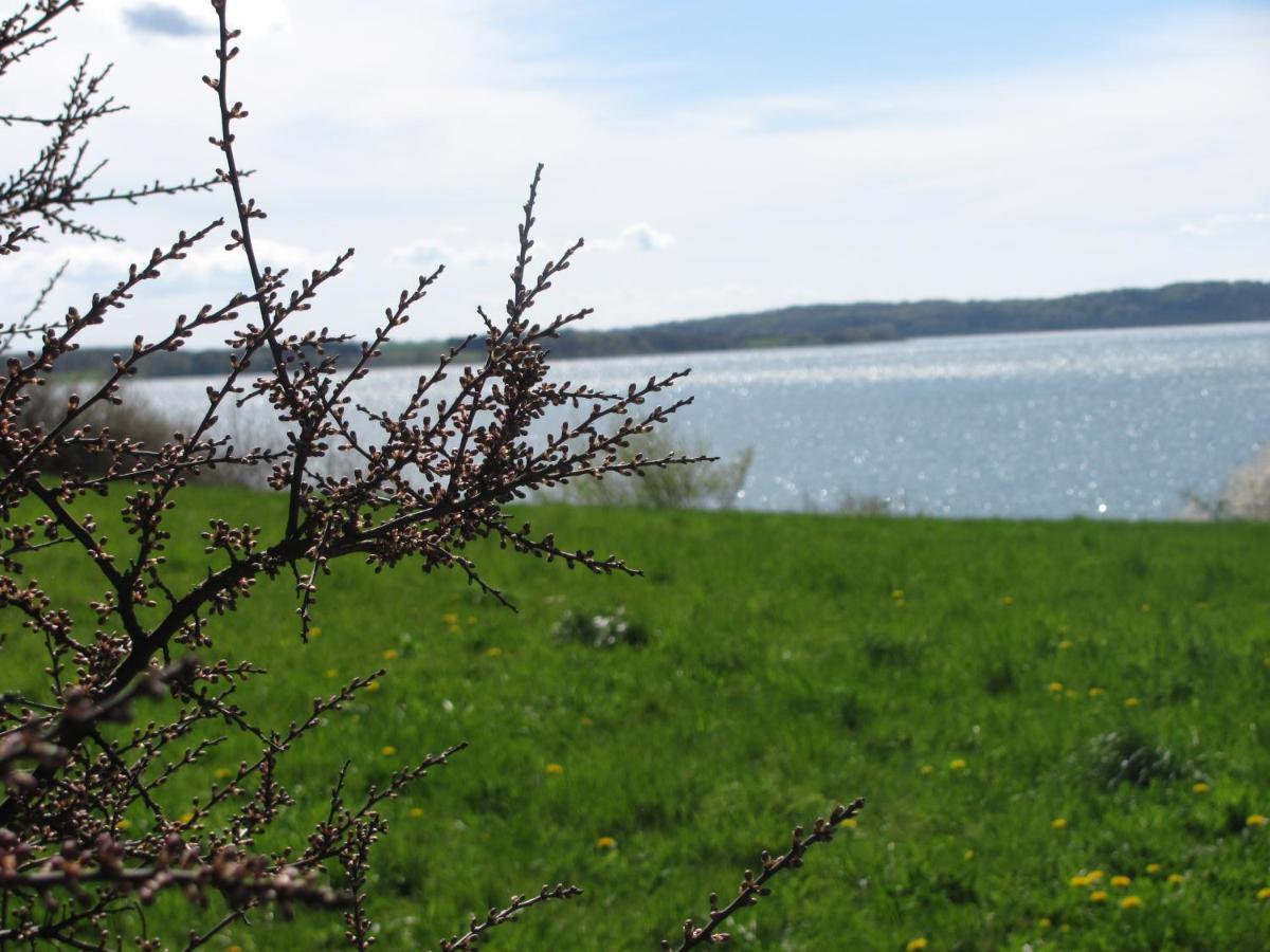 Tisvildehegn Bandb Helsinge Bagian luar foto