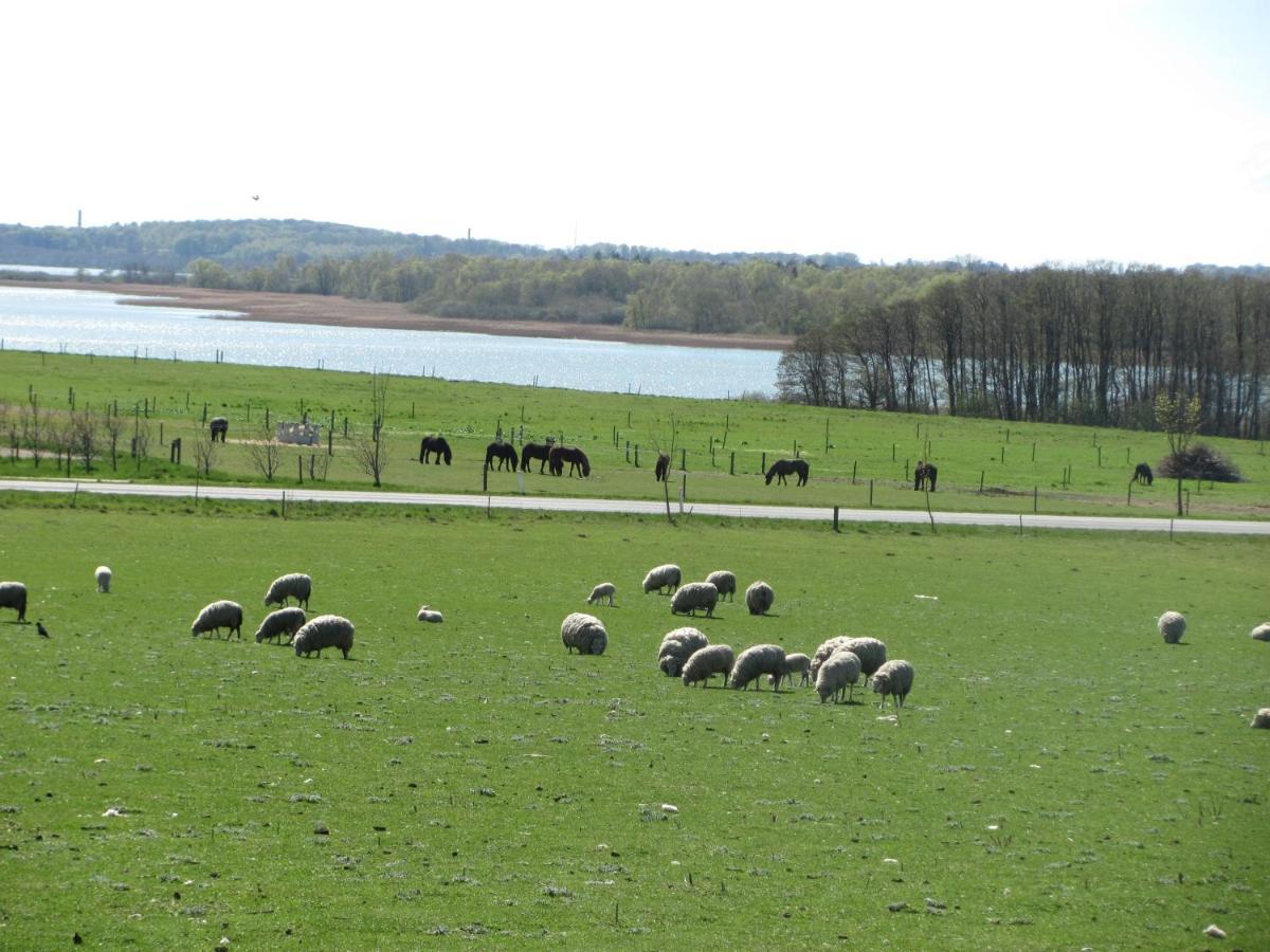 Tisvildehegn Bandb Helsinge Bagian luar foto